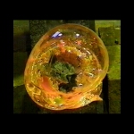 Salt Blown World 10 x 8 x 8 in(video).jpg